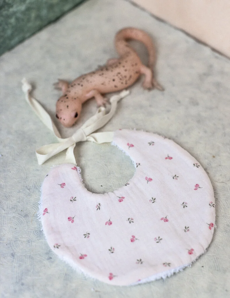 entregar ebes baja r.elena..15n.jpg