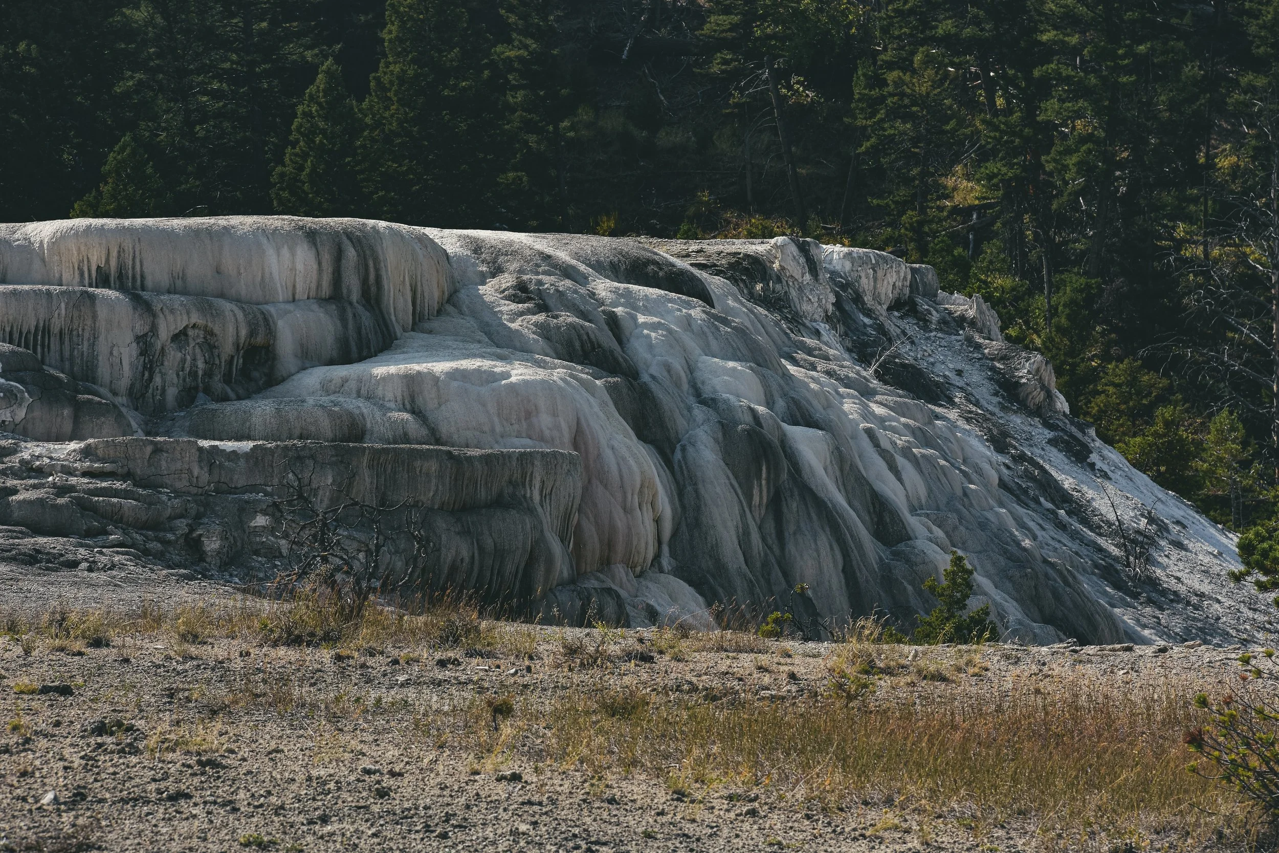 White travertine terraces with water cascading over them, dense green forest in the background.