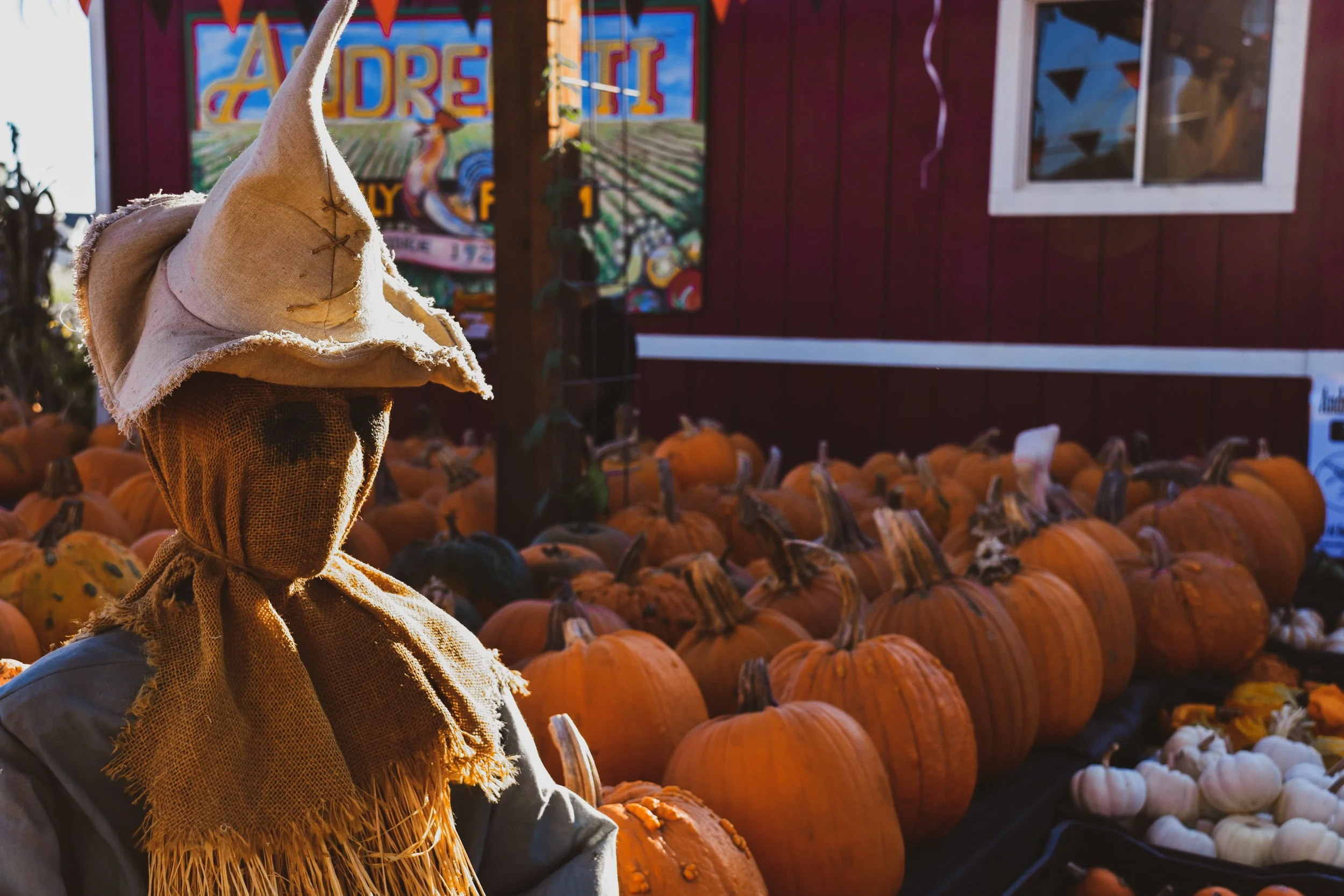 A scarecrow wearing a tan hat and a yellow burlap scarf stands in front of a pumpkin patch with numerous pumpkins, and a colorful sign in the background that says "Alderhill"