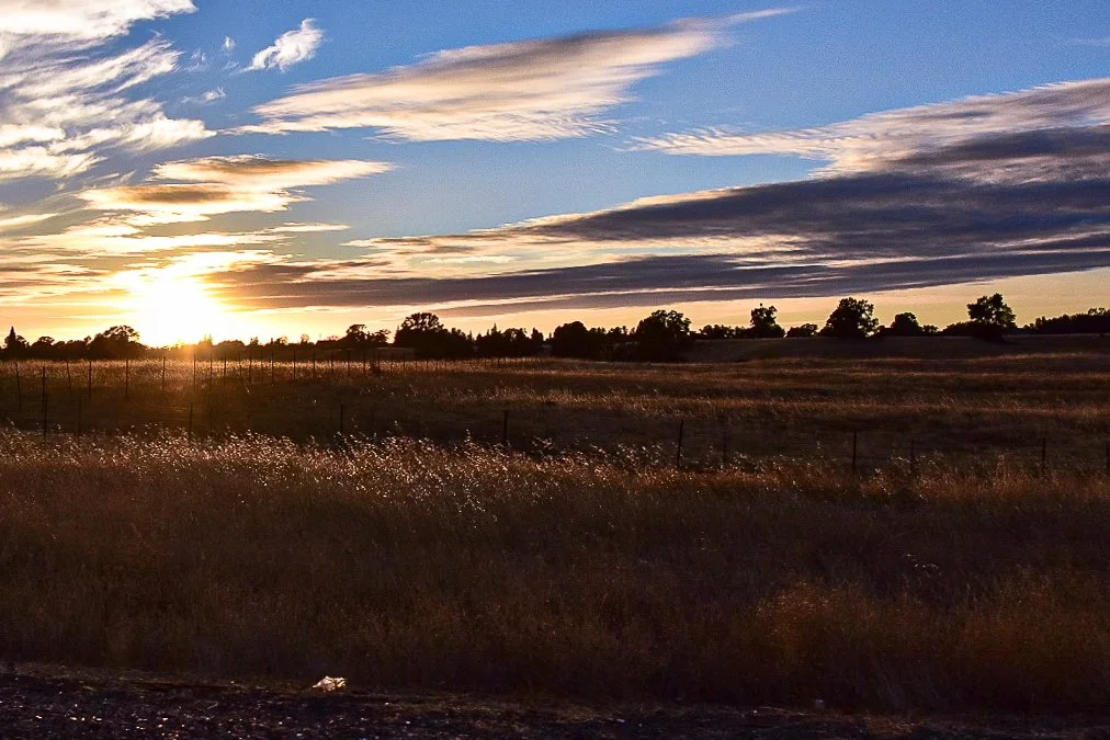 Sunset over a rural field with grass and trees in the distance, partly cloudy sky