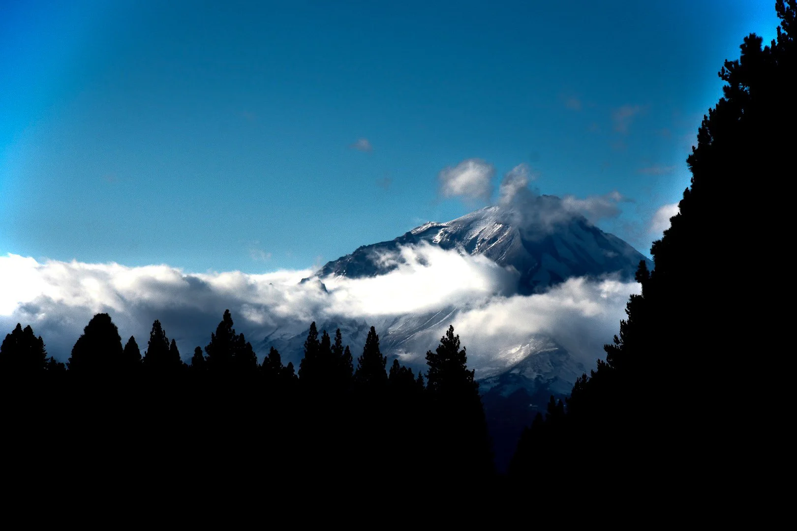 Snow-capped mountain with clouds, surrounded by dark trees in the foreground, under a blue sky.