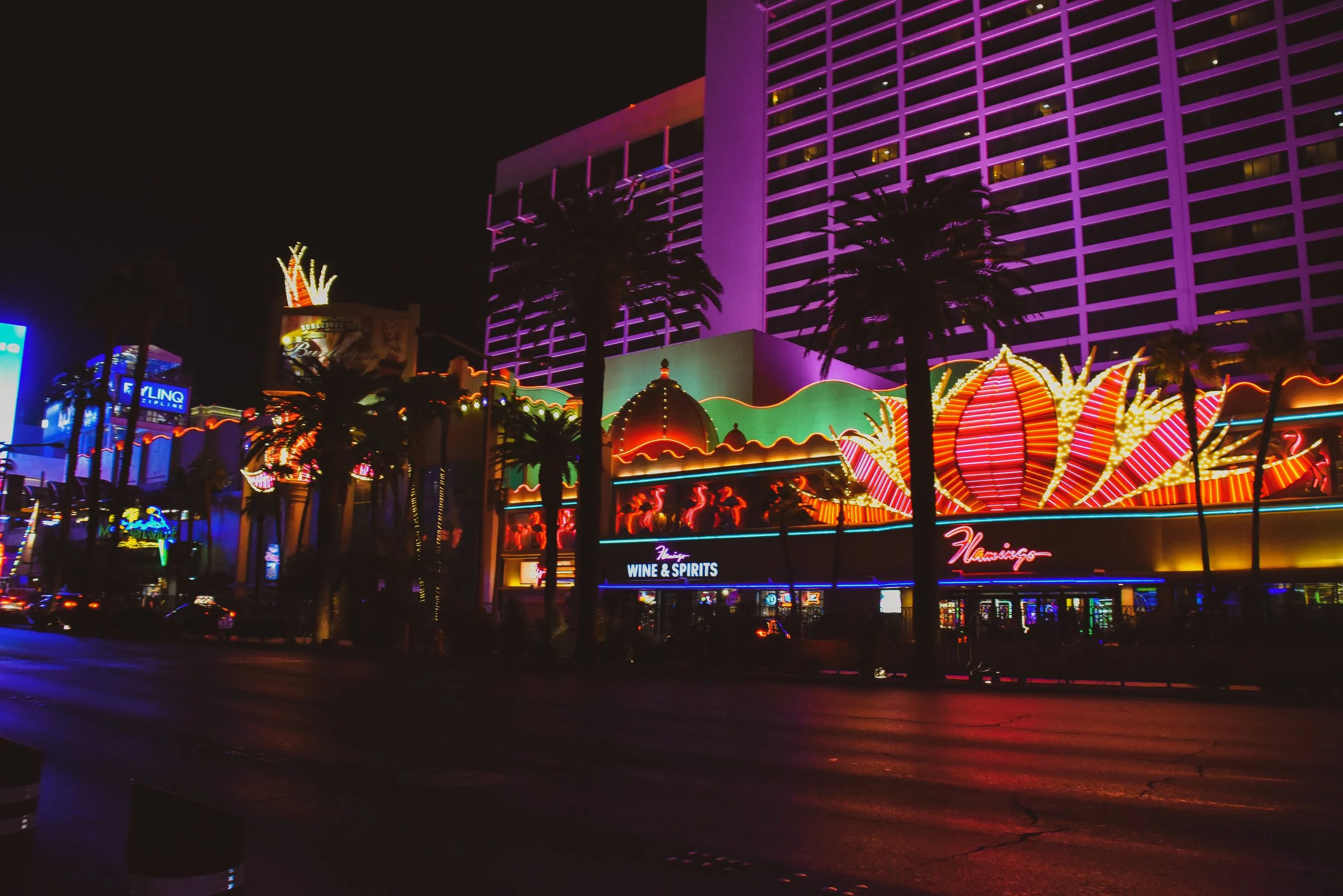 Nighttime view of a brightly lit neon-themed building with signs and decorations, reflected on the wet street below, featuring colorful lights, palm trees, and signage for wine and spirits.