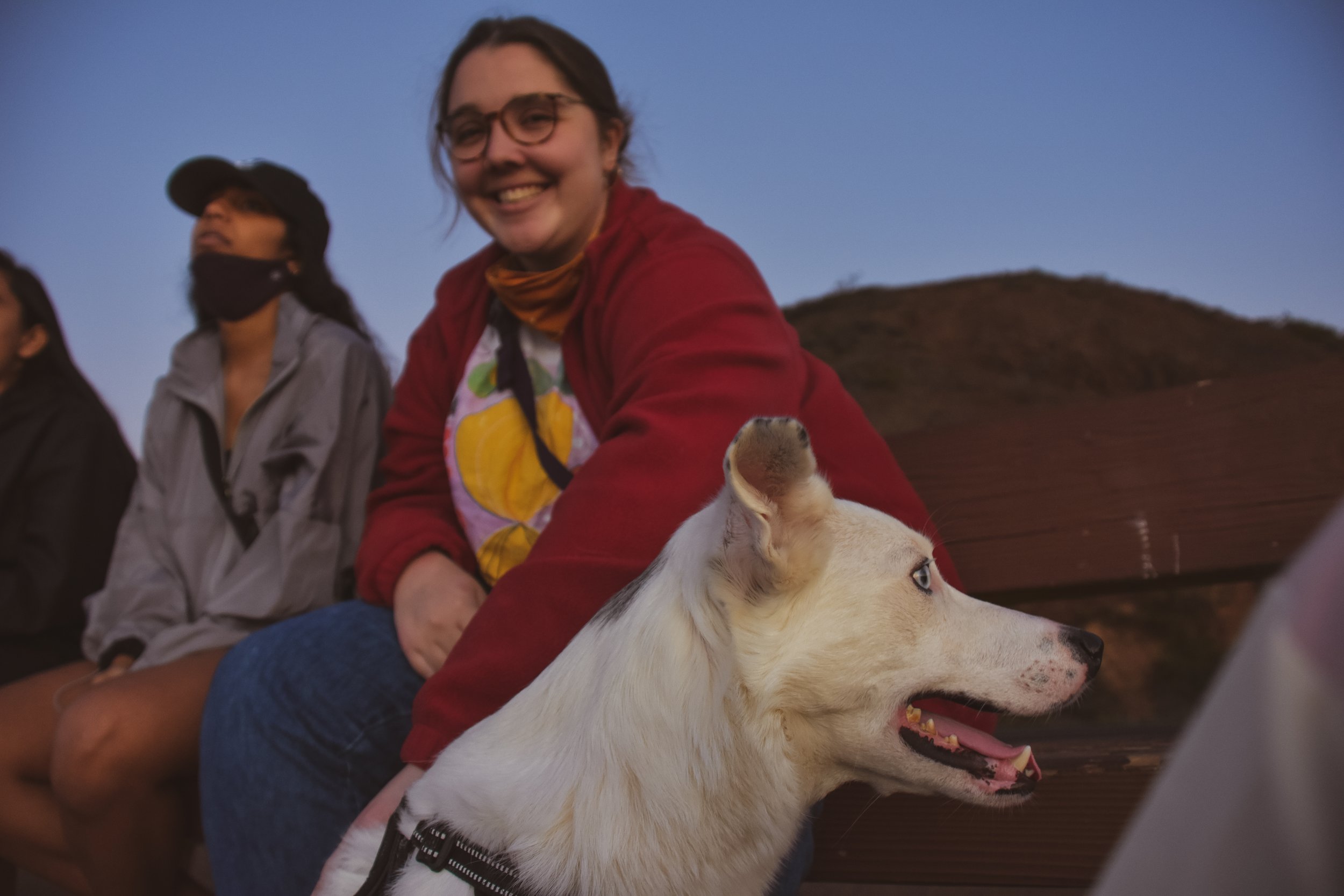 A group of people sitting outdoors at dusk, with one smiling woman in glasses and a red jacket, and a white dog with blue eyes lying down in the foreground.