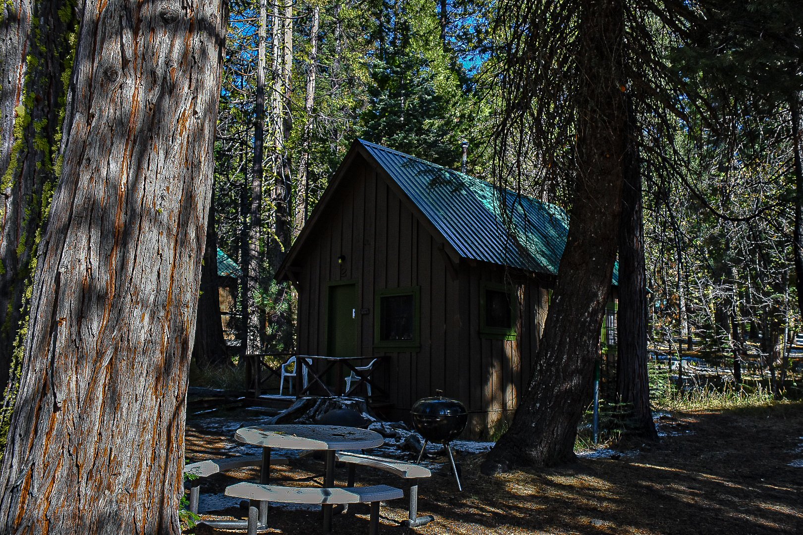 A small wooden cabin with a blue metal roof is surrounded by tall trees in a forest. An outdoor picnic table with benches is in front of the cabin, and a black grill is near the table. The sunlight filters through the dense forest canopy.