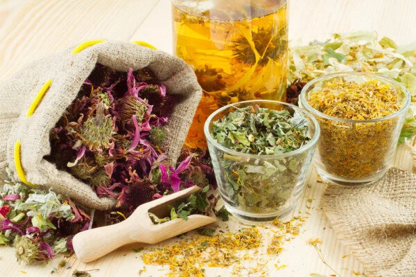 Herbal Medicine is Used by 80% of the World’s People!