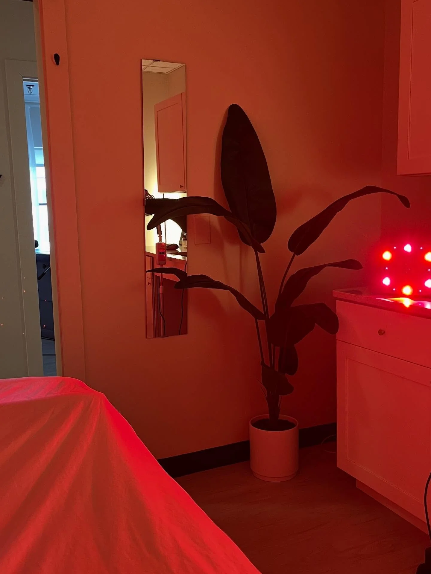Currently loving red light therapy for cellular repair, inflammation support, and that post-session glow.