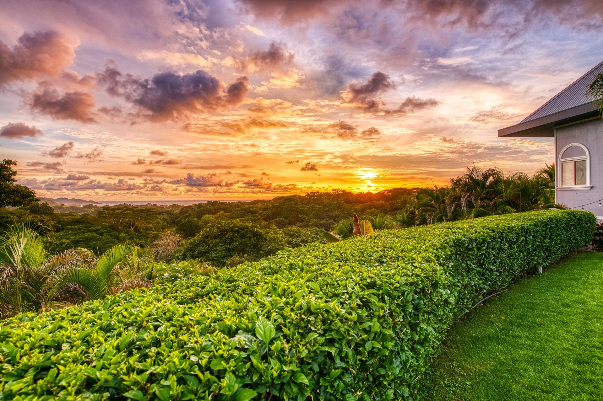 Sunset top copy.jpg