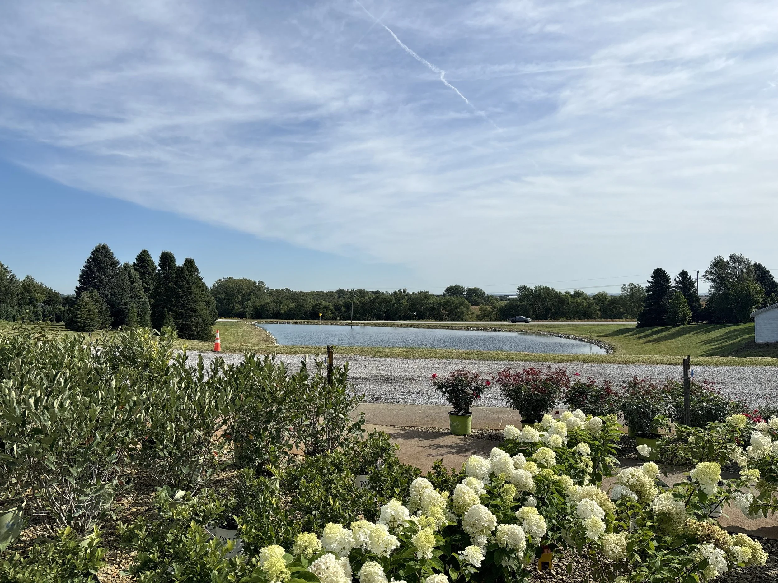 NNLA Summer Field Day
