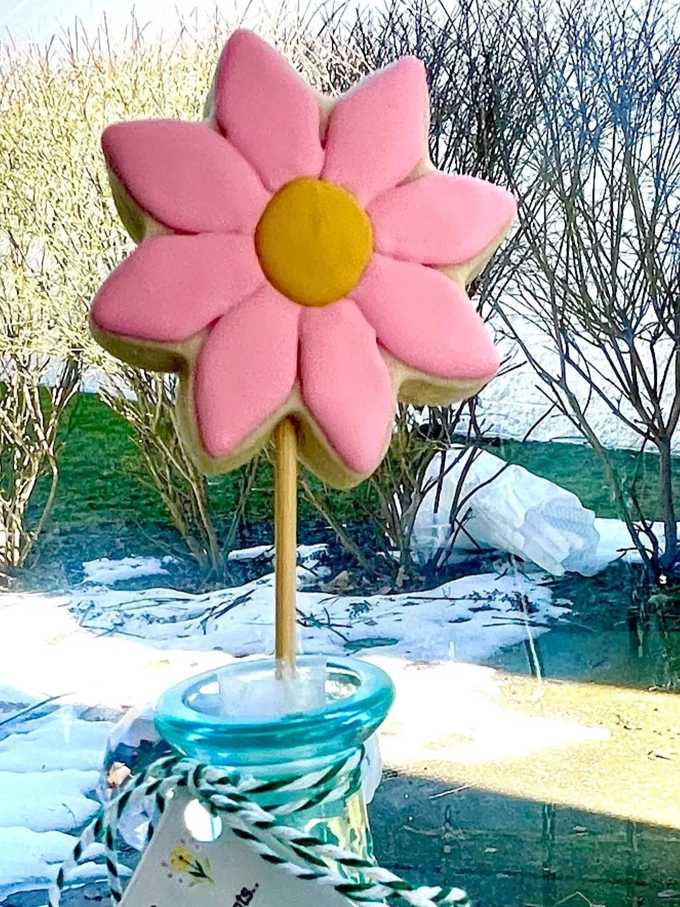 single cookie flower in a mini vase $10