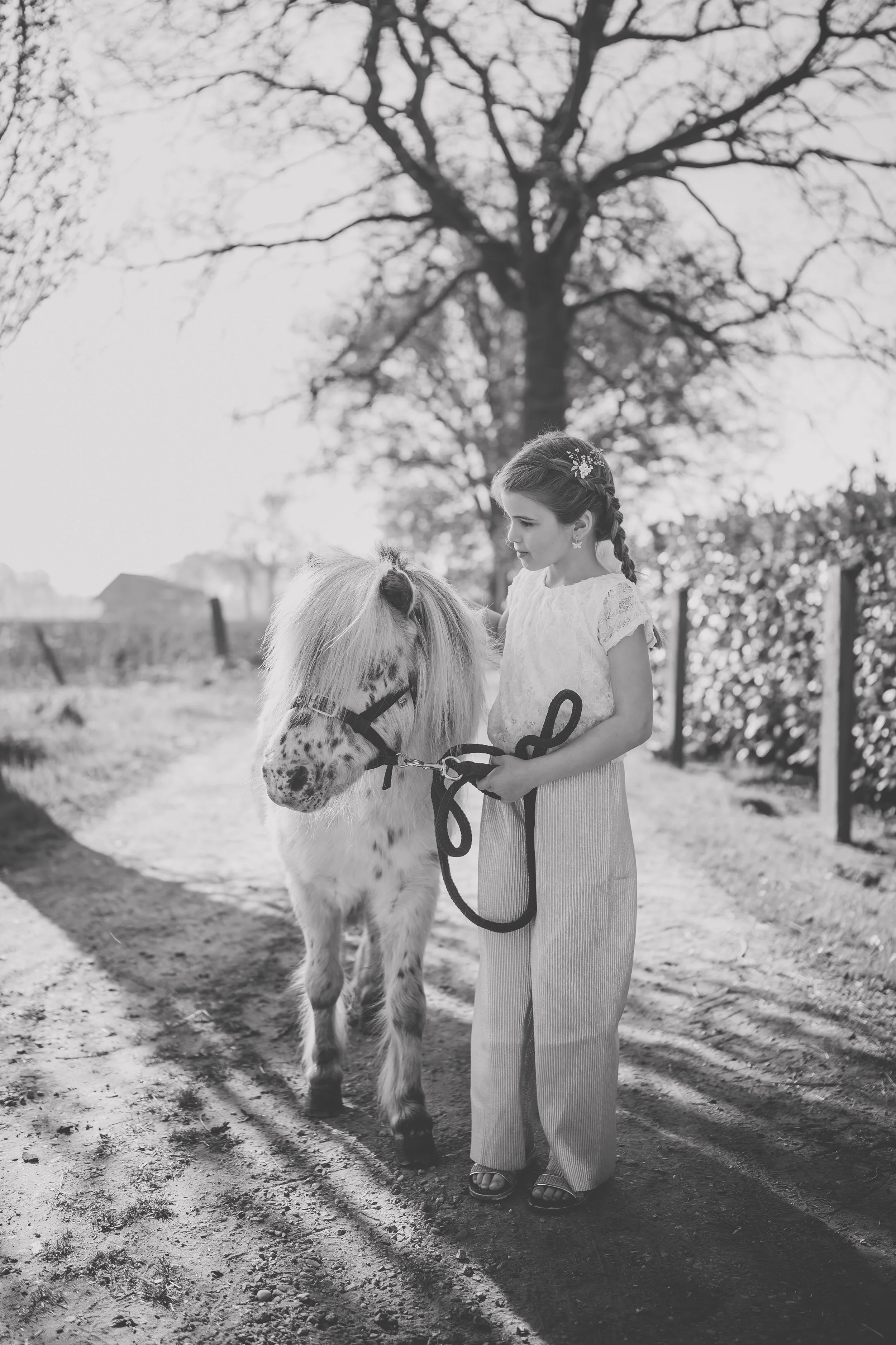 foto (48 van 126).jpg