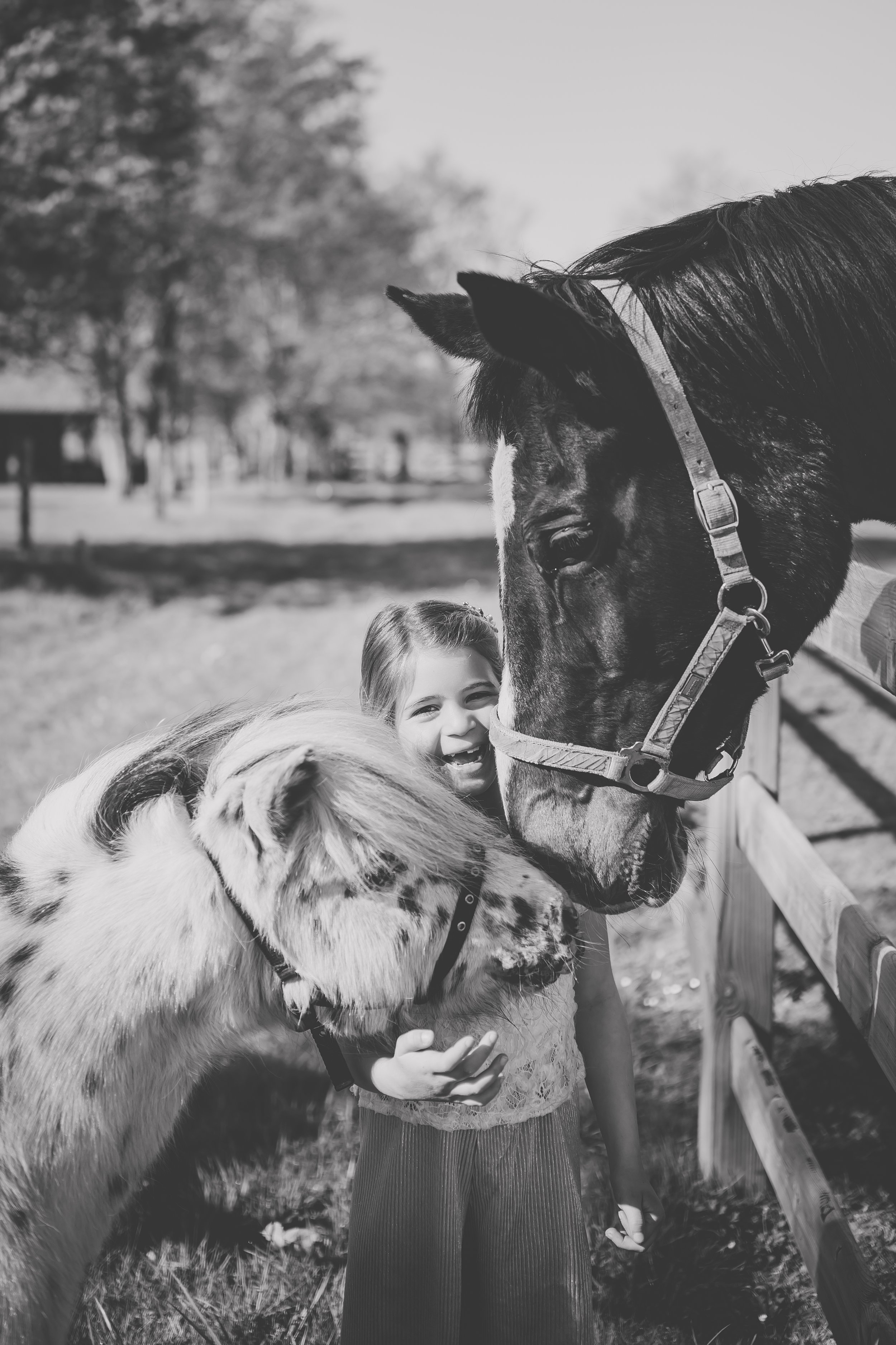 foto (39 van 126) (2).jpg