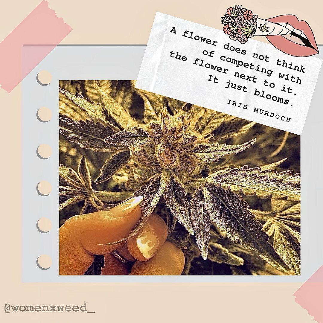 Lessons from nature 💐 @womenxweed_