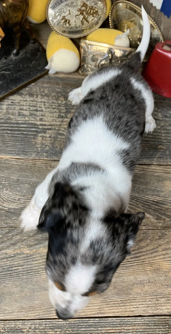 anniehaven012726a (1).jpg