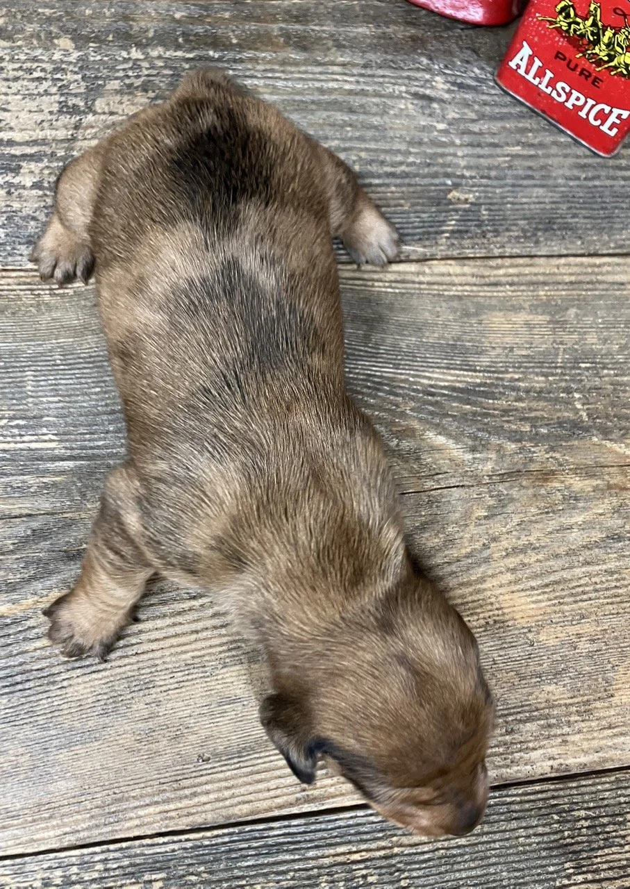 bettymarlow122825a (1).jpg