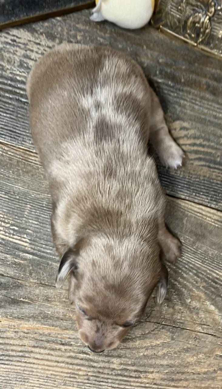 bettybaileys122825a (1).jpg