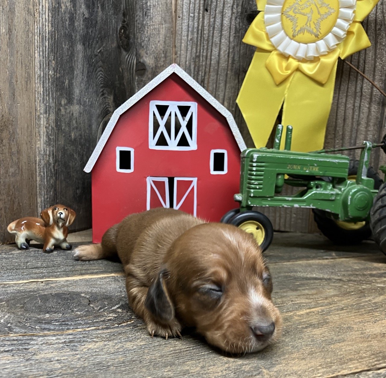corndogtink060824a.jpg