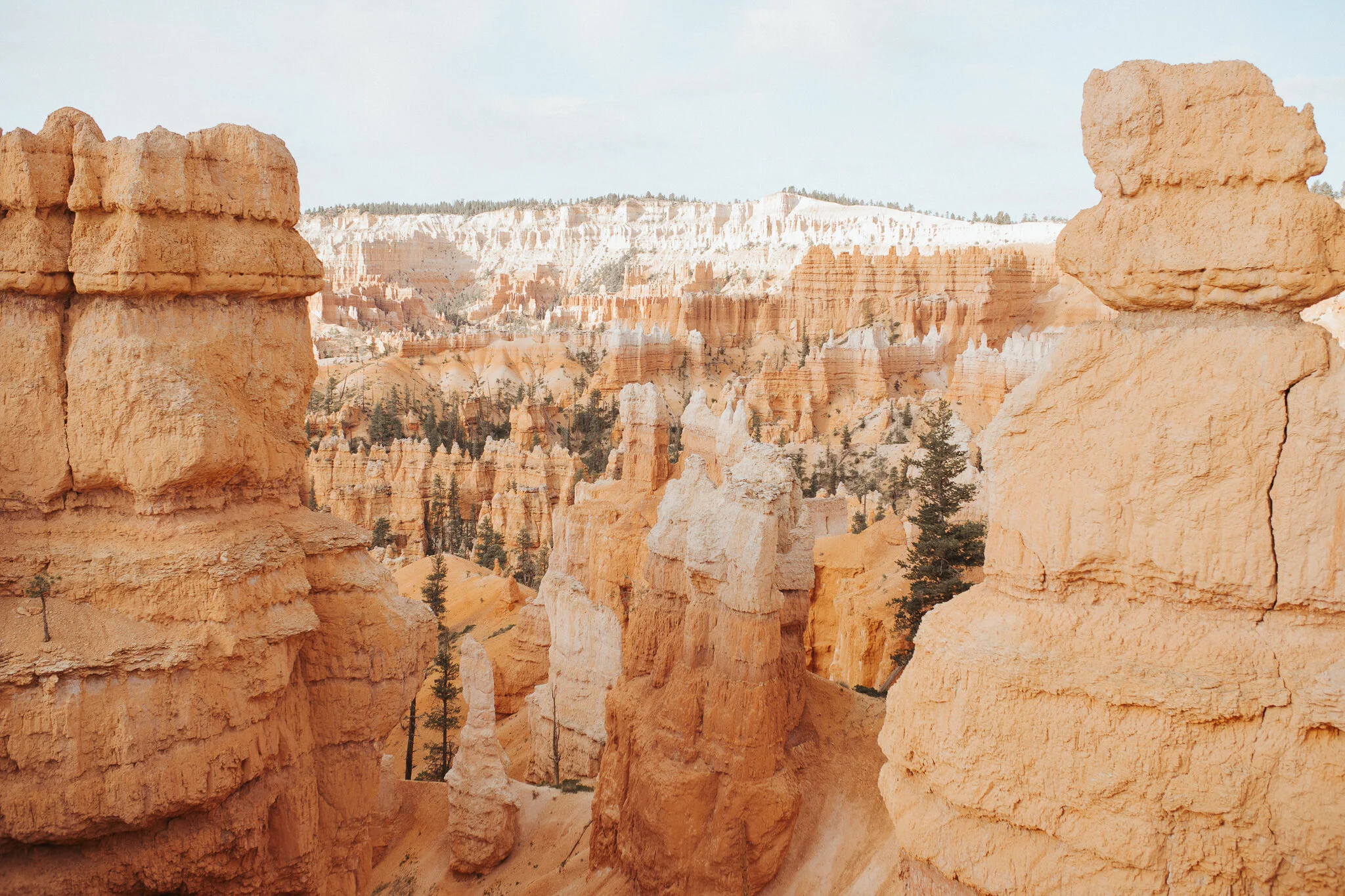 Utah-75.jpg