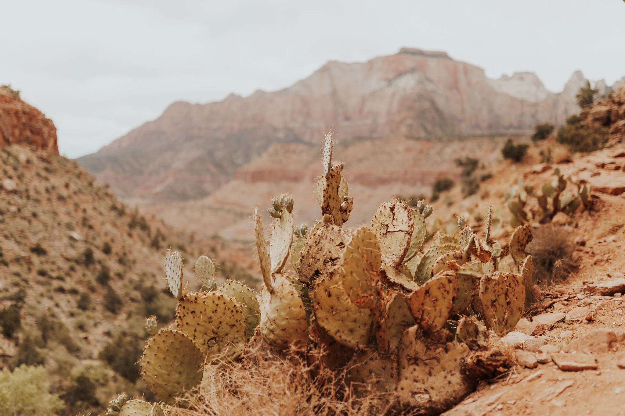 Utah-3.jpg