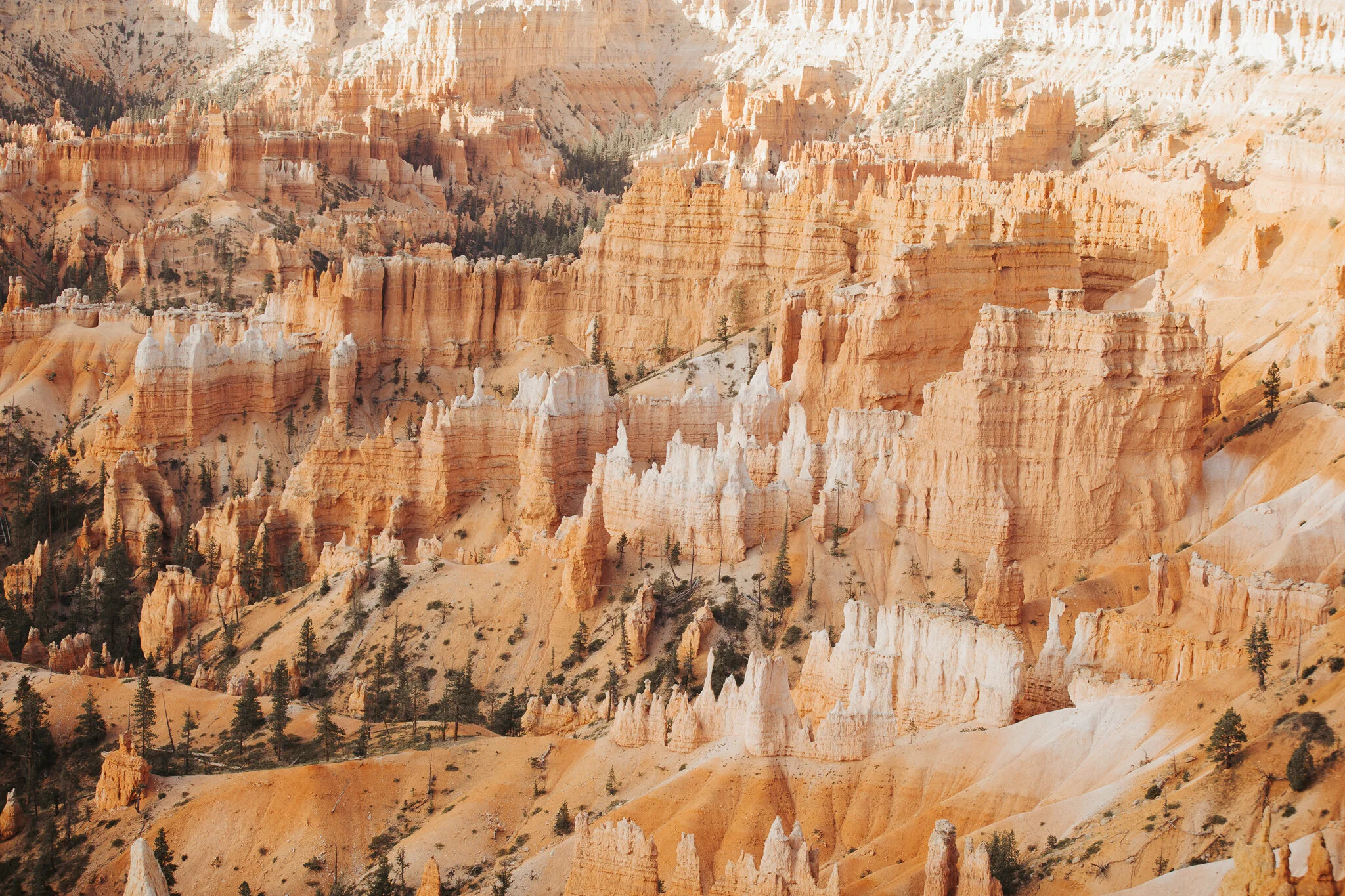 Utah-56.jpg