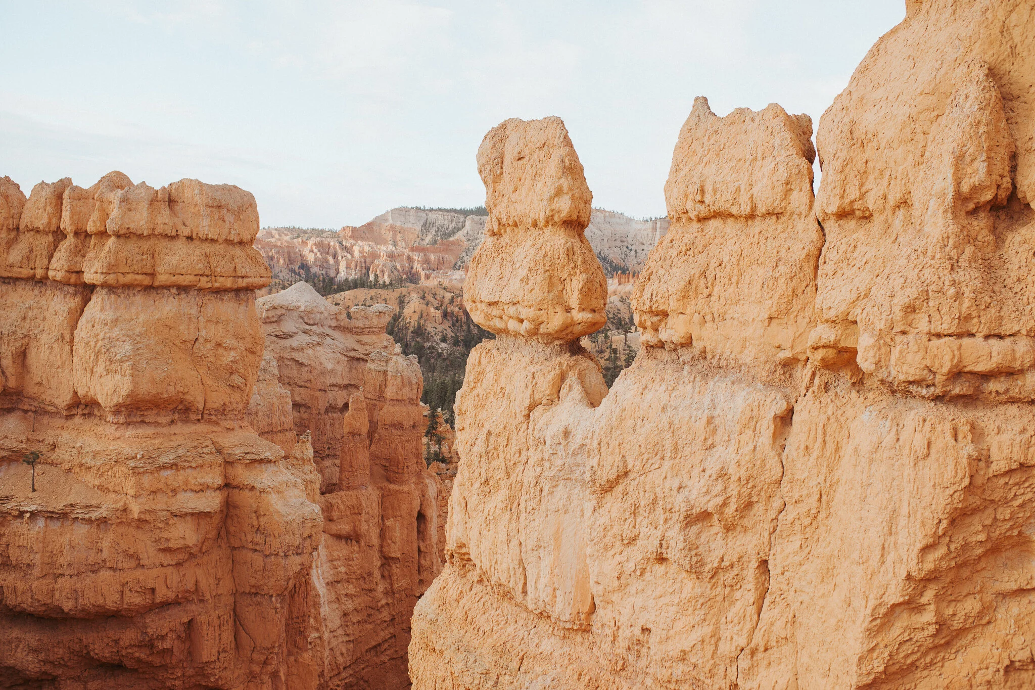 Utah-72.jpg
