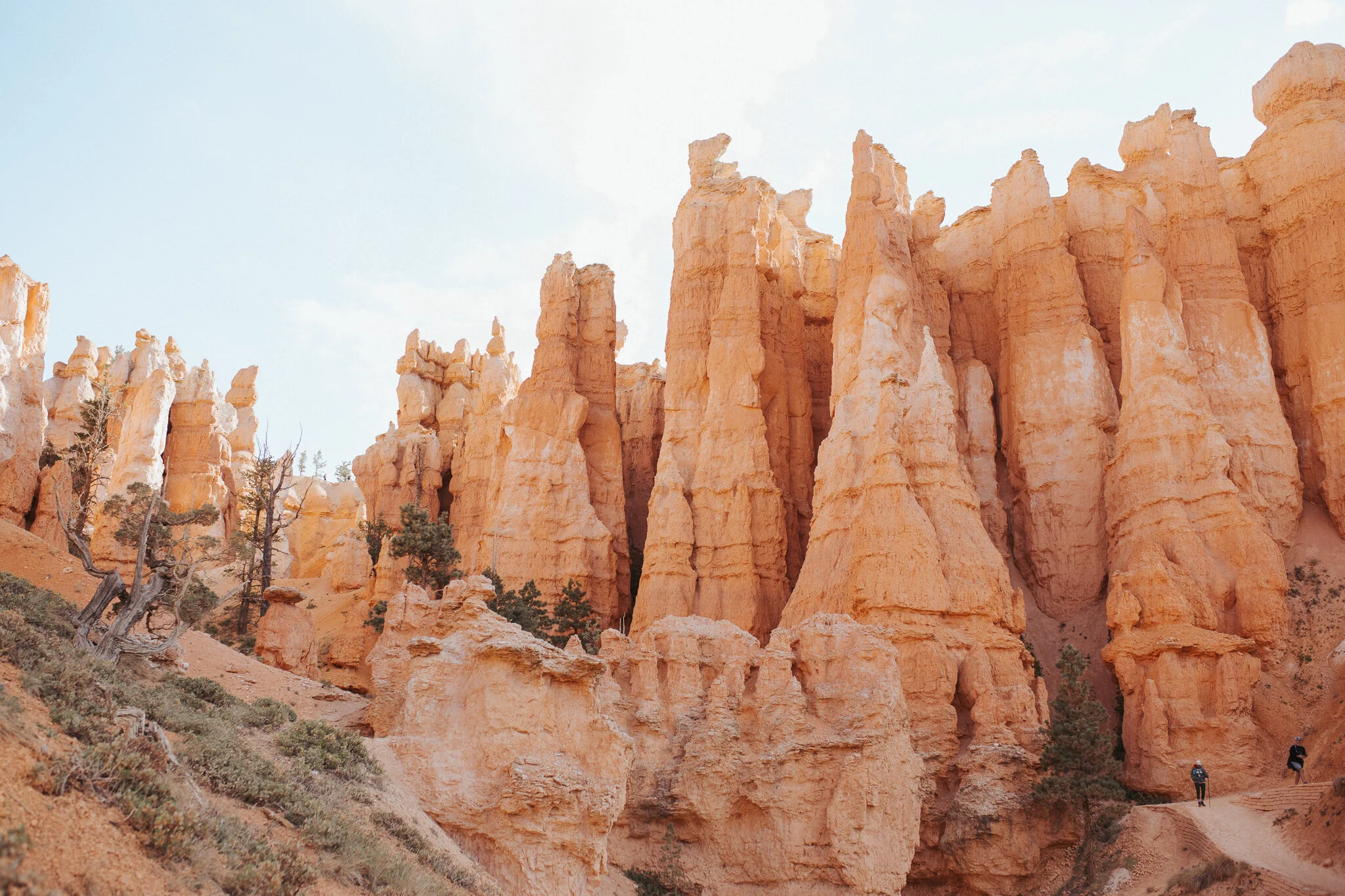 Utah-84.jpg