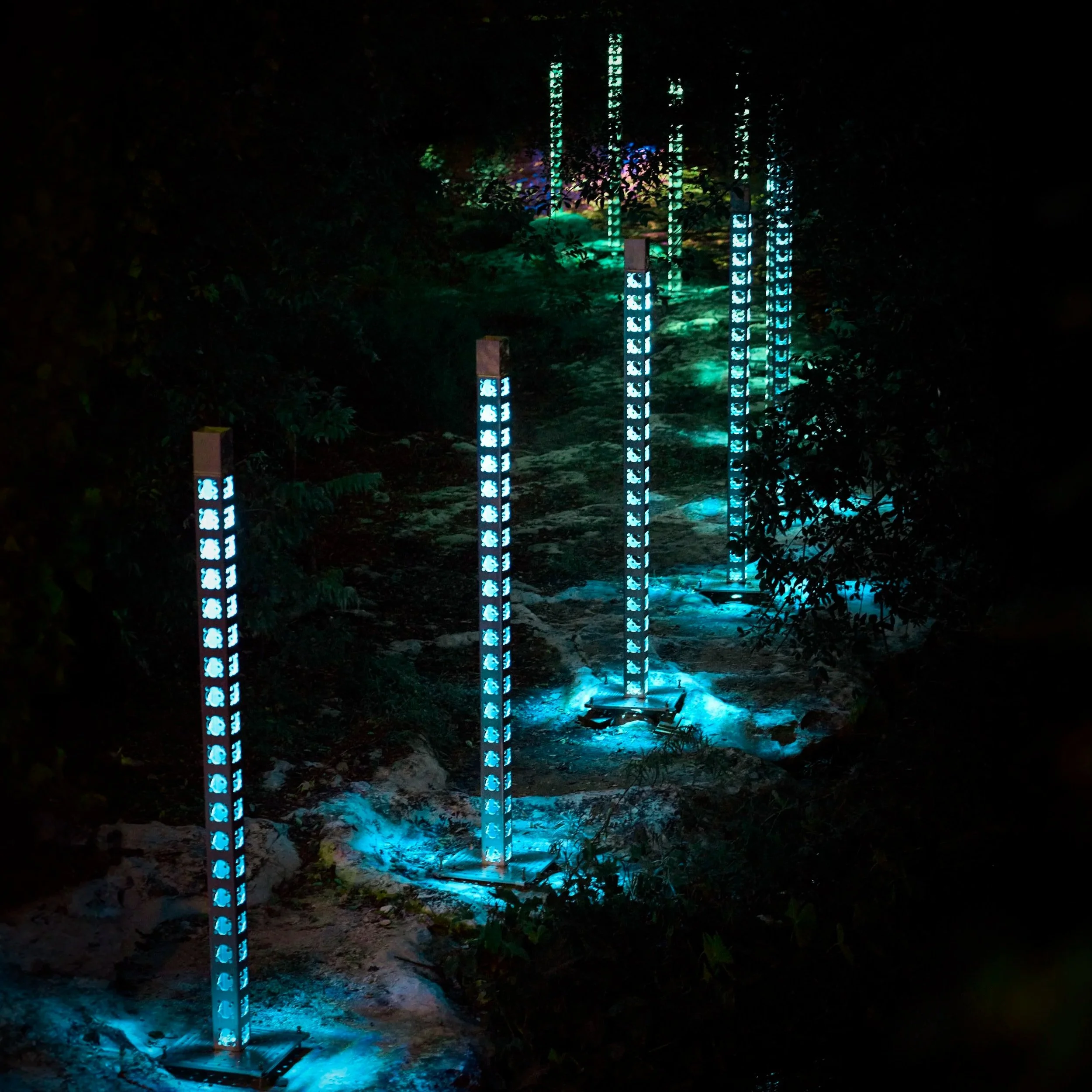 dadaLab — photo 2