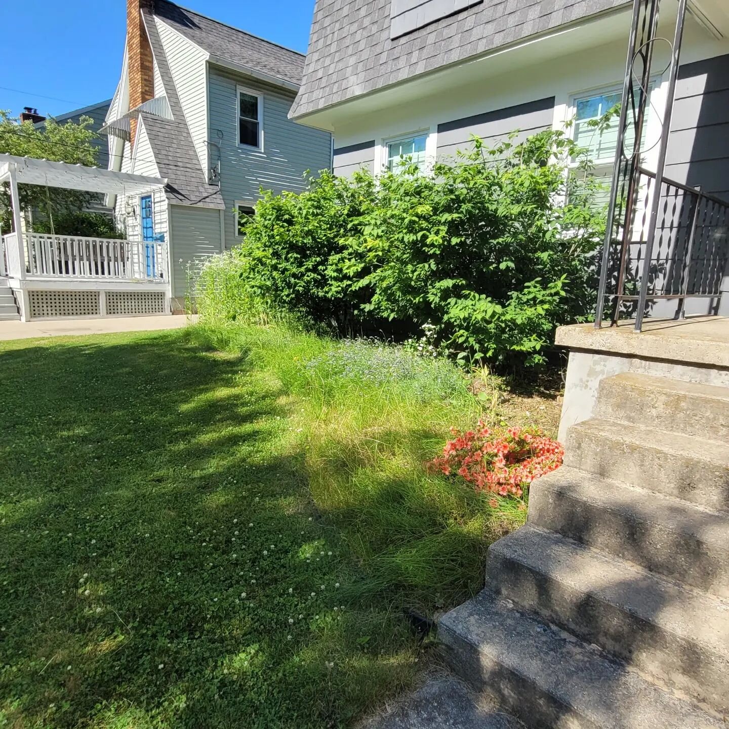 Perfect day for a little installation. 

Giving this client a cottage style garden with lots of pink. 

#grandrapids #landscapedesigner #organicgardening #simple #gardening #gardencoach