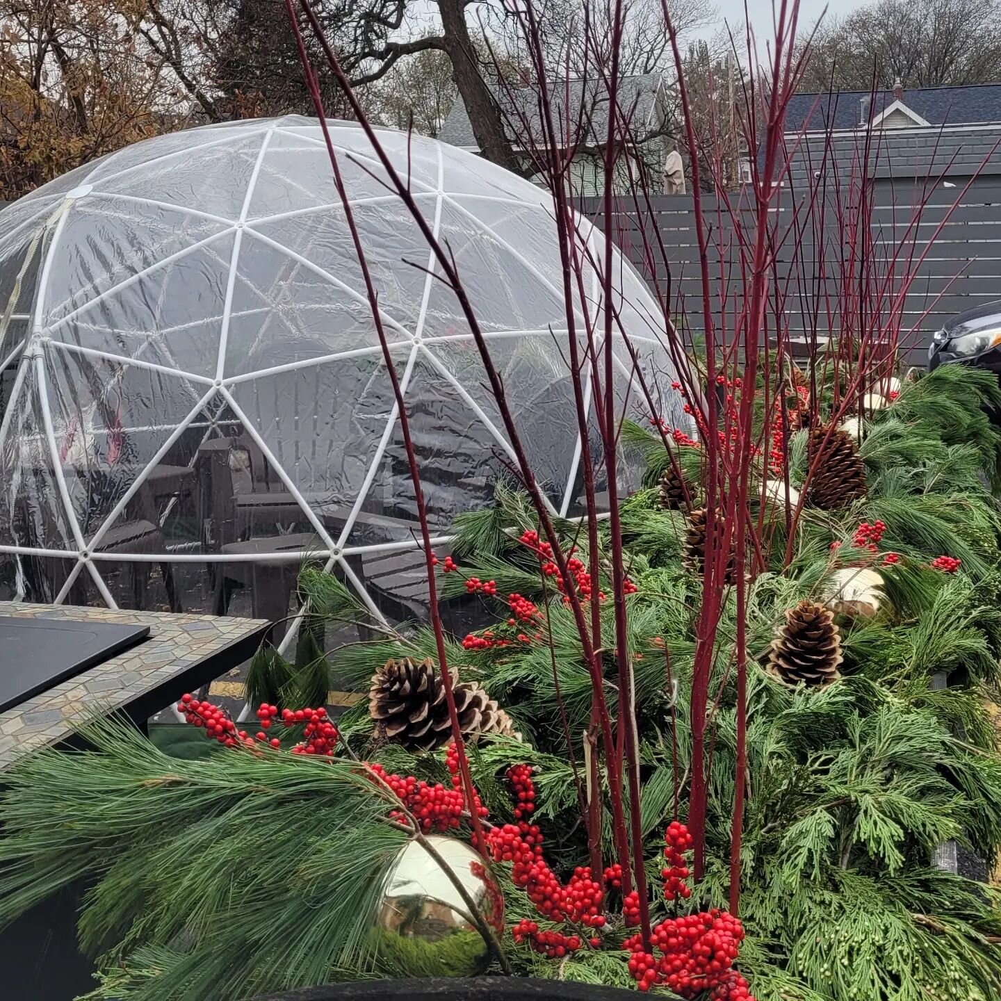 It's that time of year 

#holidaydecor #porchpots #grandrapids