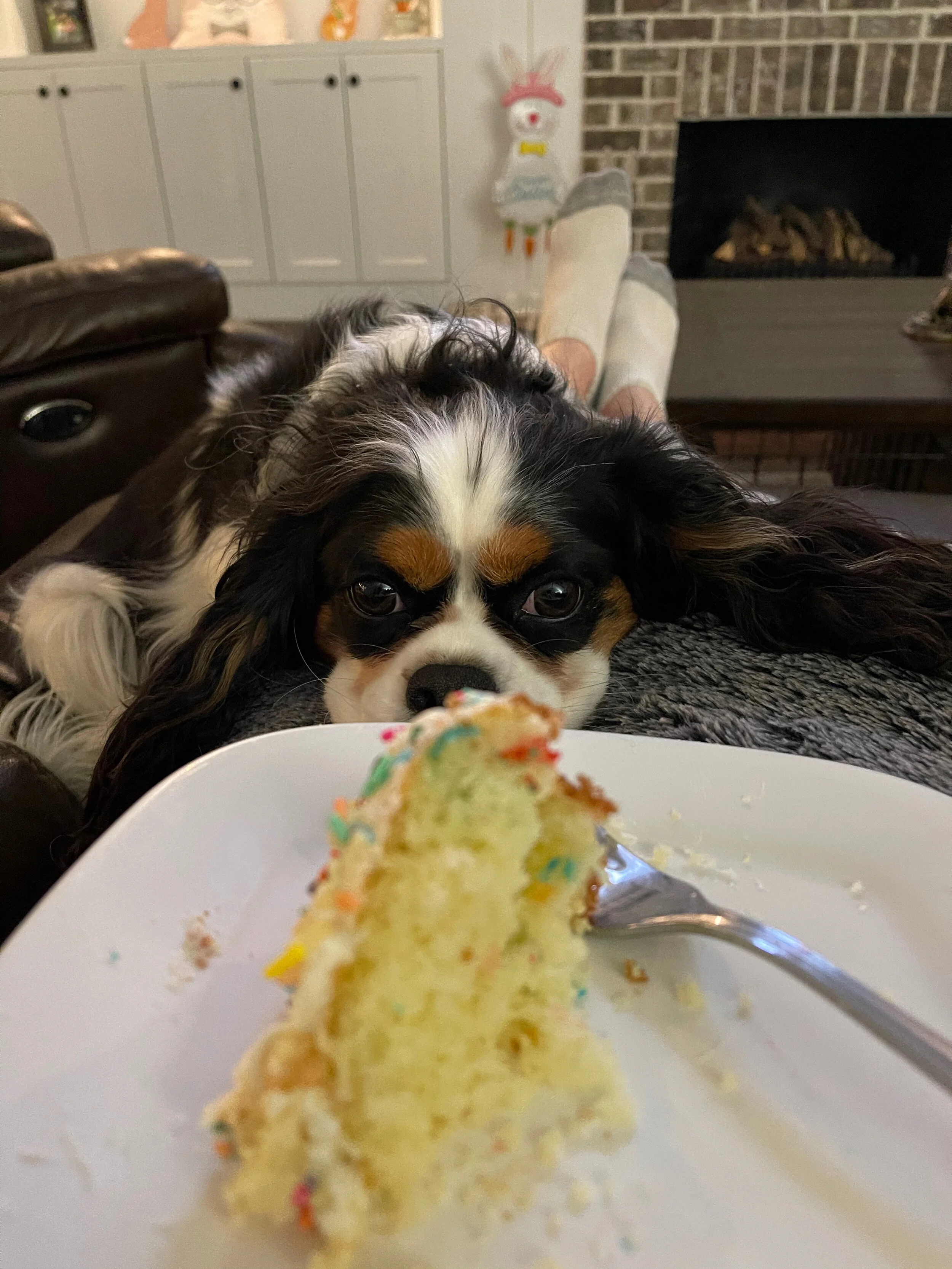 IMG_2873.jpeg
