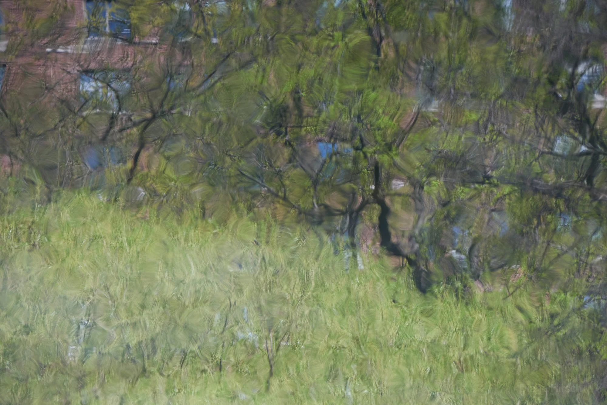 The Pond 4.jpg