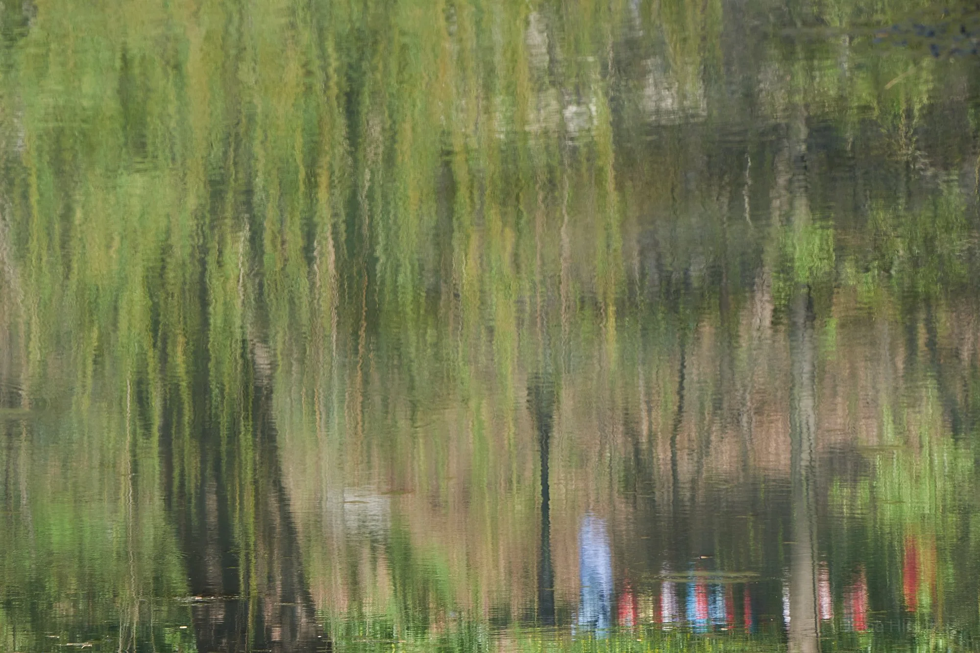 The Pond 1.jpg