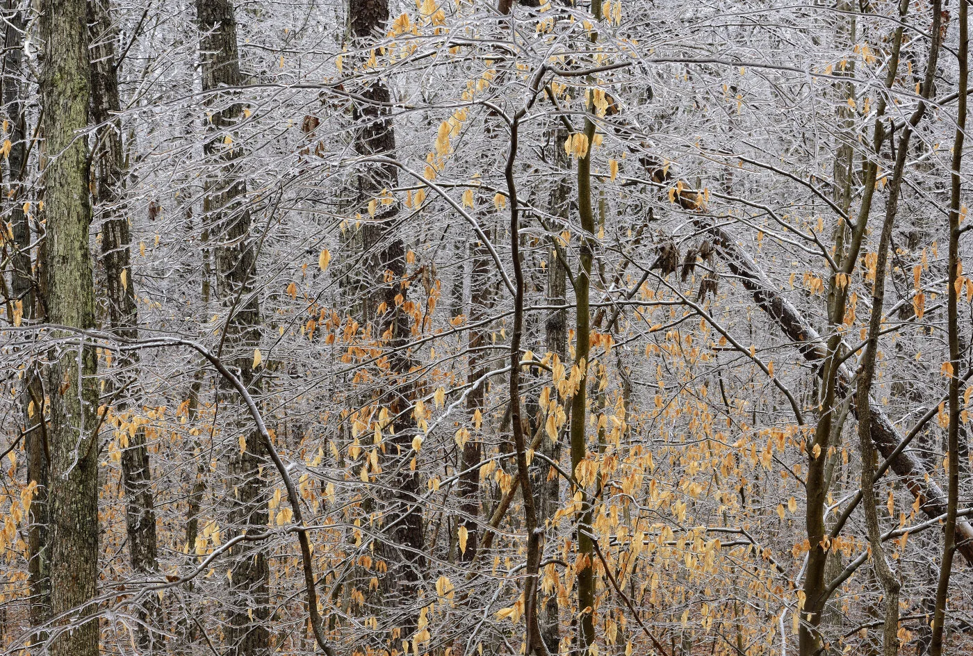 Banshee Reeks Nature Preserve — Jim Clark Photography