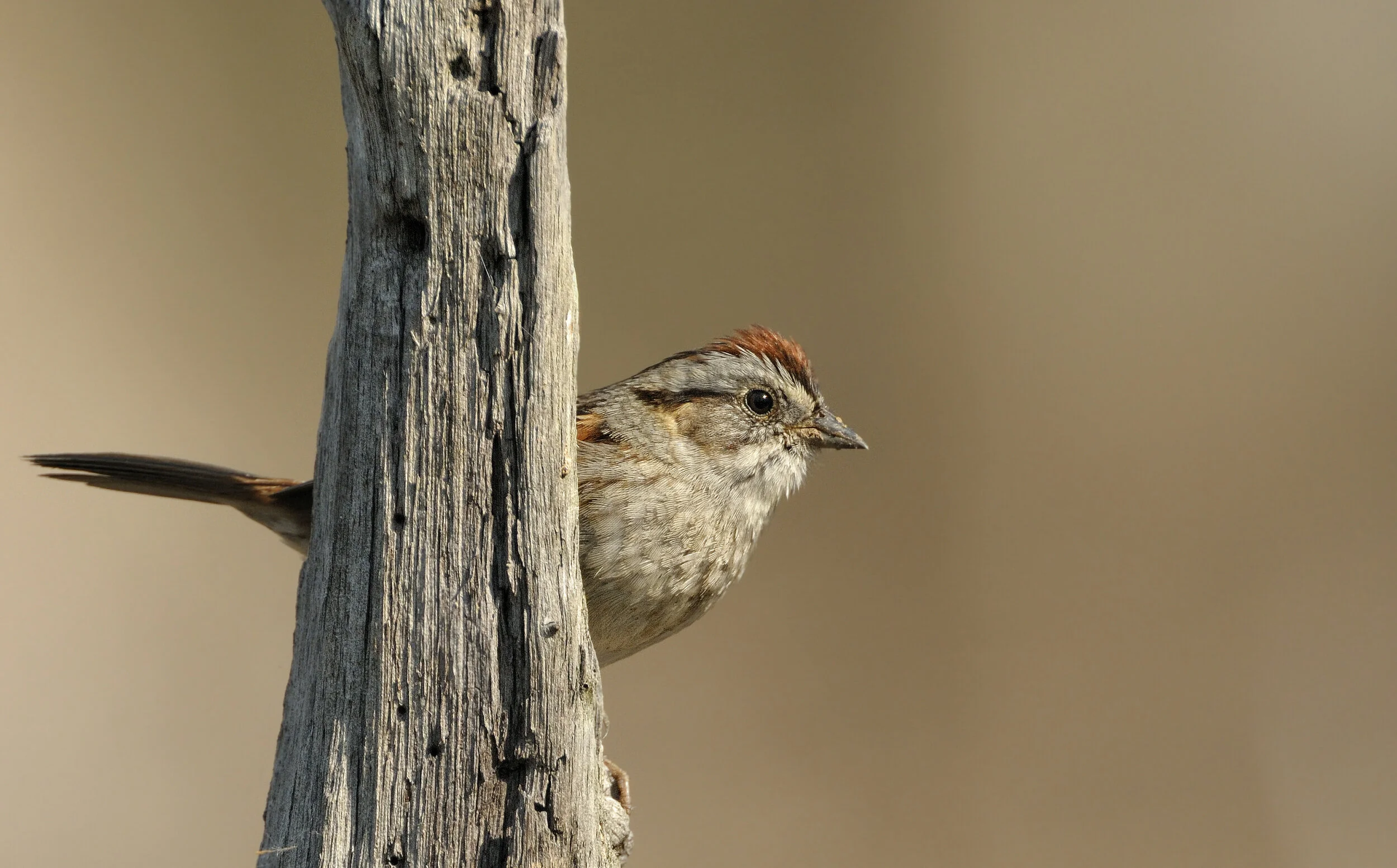 Banshee Reeks Nature Preserve — Jim Clark Photography
