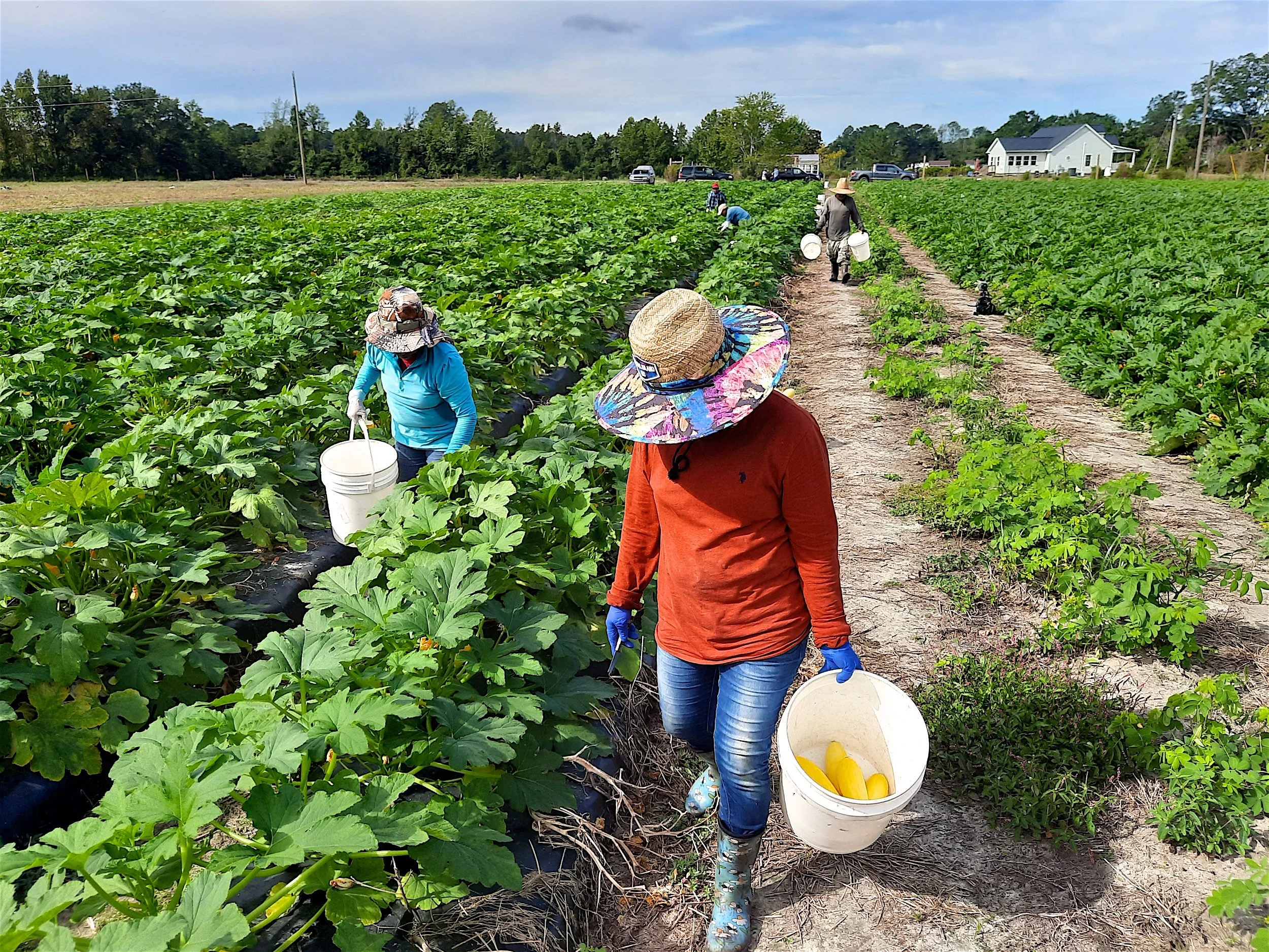 Hines_Family_Farm  002.jpg