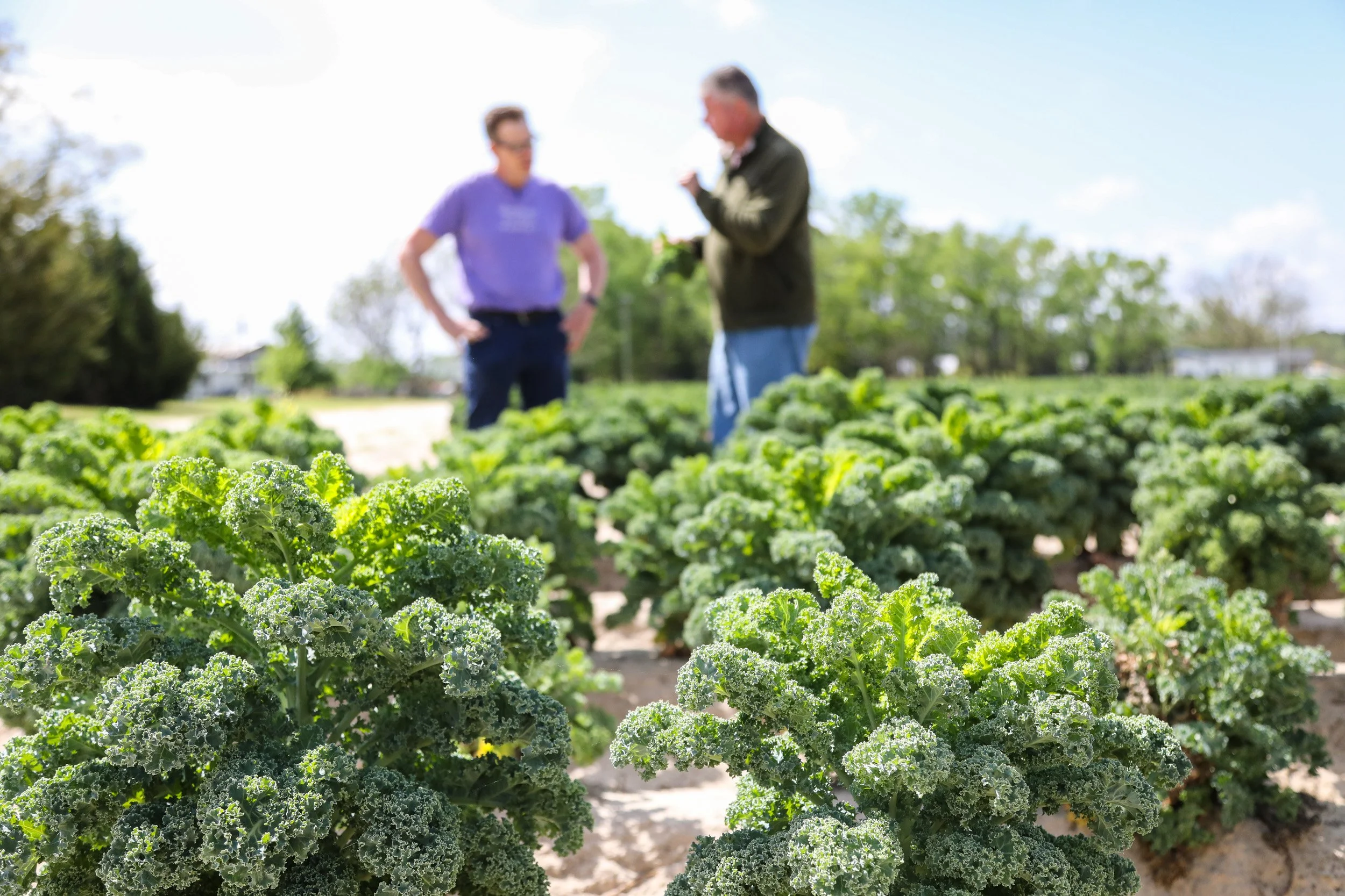 North Carolina Rural Health Transformation Program