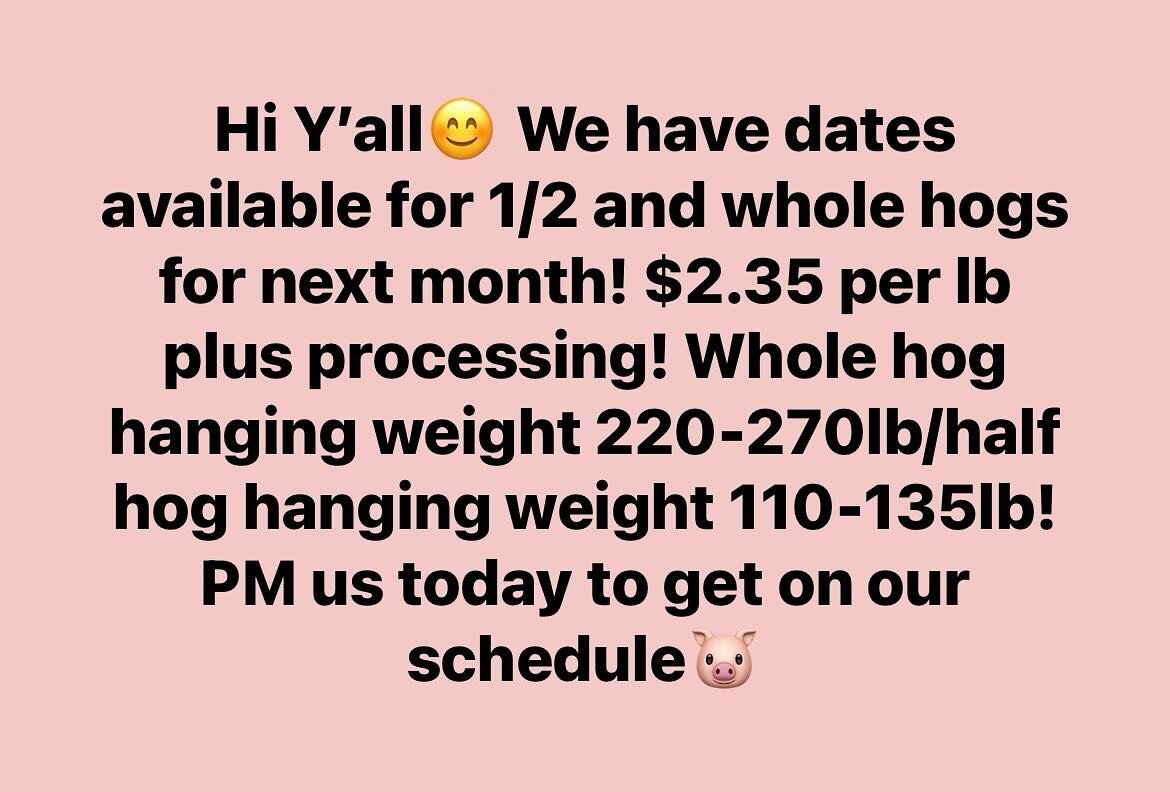 We have dates available in the month of February for 1/2 and whole hogs! You will pay processing separately at Keller Meats! Reach out to us today to get on our schedule🐷