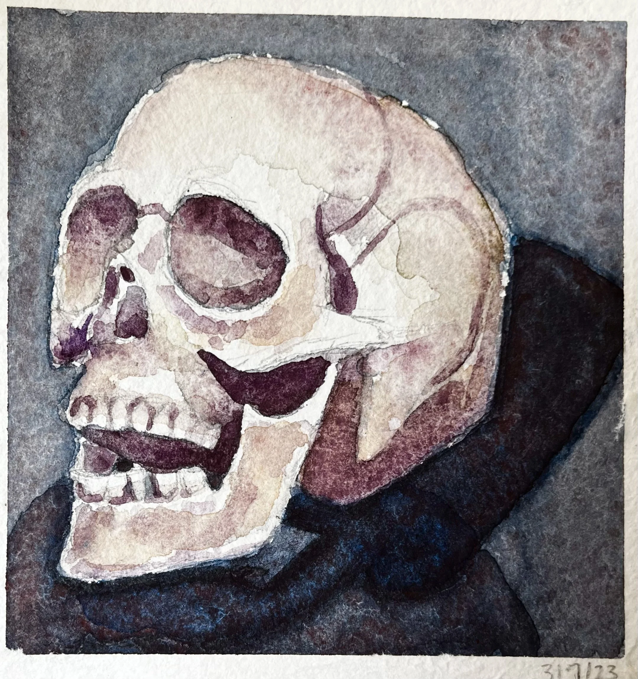 Skull 3.jpg
