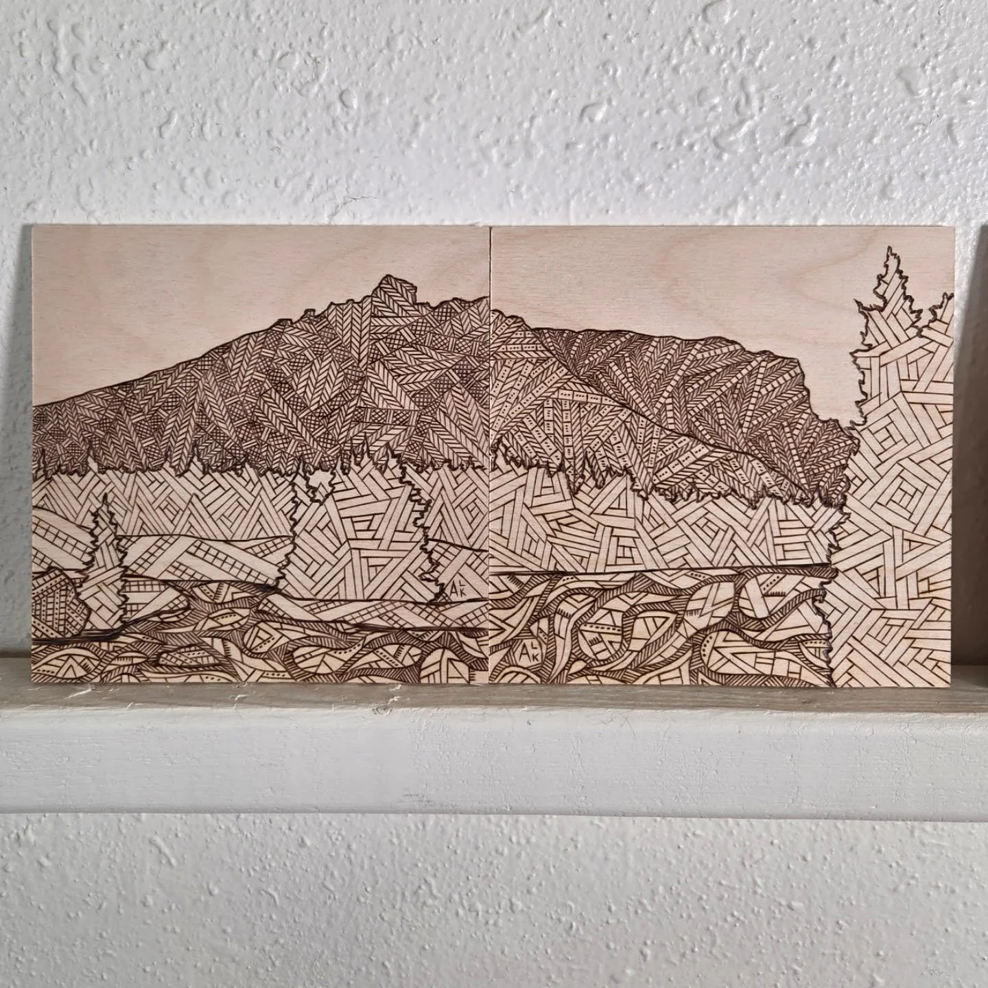 wood burned drawings: done! next week I'll add some color.  Each of these are 6x6&quot; with lots of tiny details 😻
Inspiration from a hike this past summer in Red Lodge 🚶&zwj;♀️🥾

#hiking #art #artinspiredbynature #nature #woodburning #mixedmedia