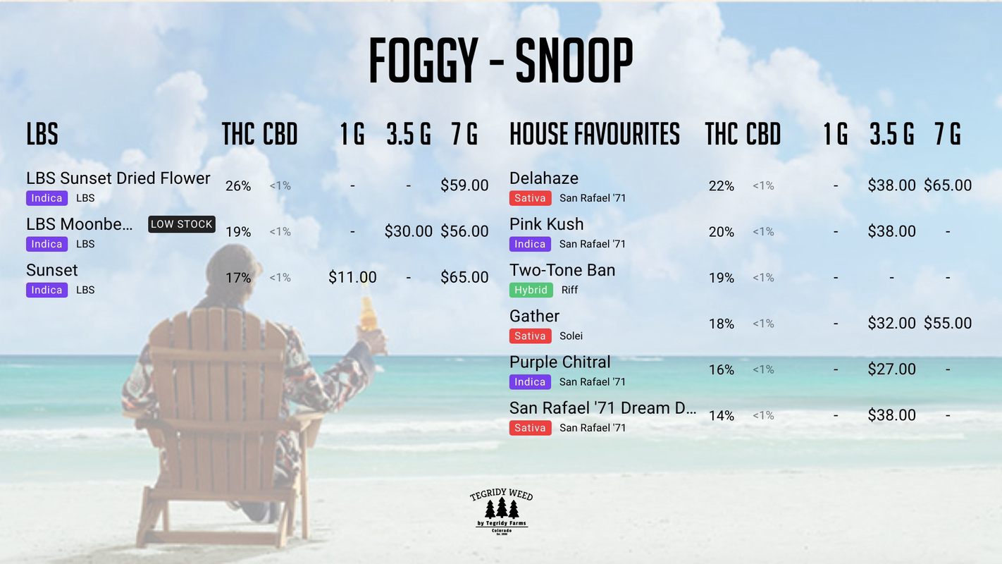 DIGITAL_LANDSCAPE_FOGGY_BEACH.png