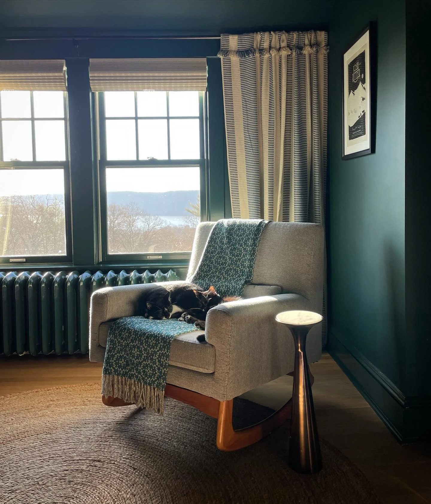 Finally (five years after moving in) designing our primary bedroom, and the cats are already claiming this cozy corner.