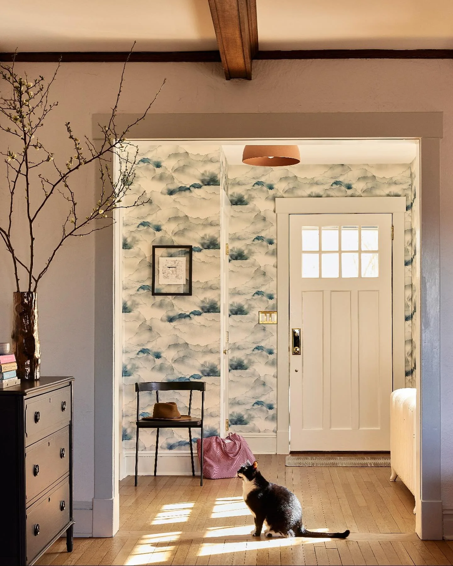 Our entry was the first shot of the first day. The morning sun streaming through the window and casting soft patches of light across the floor made it an obvious choice. Coco the cat, who is our resident light patch enthusiast, agreed. I love how she