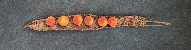 Threads 114: Basketry for display