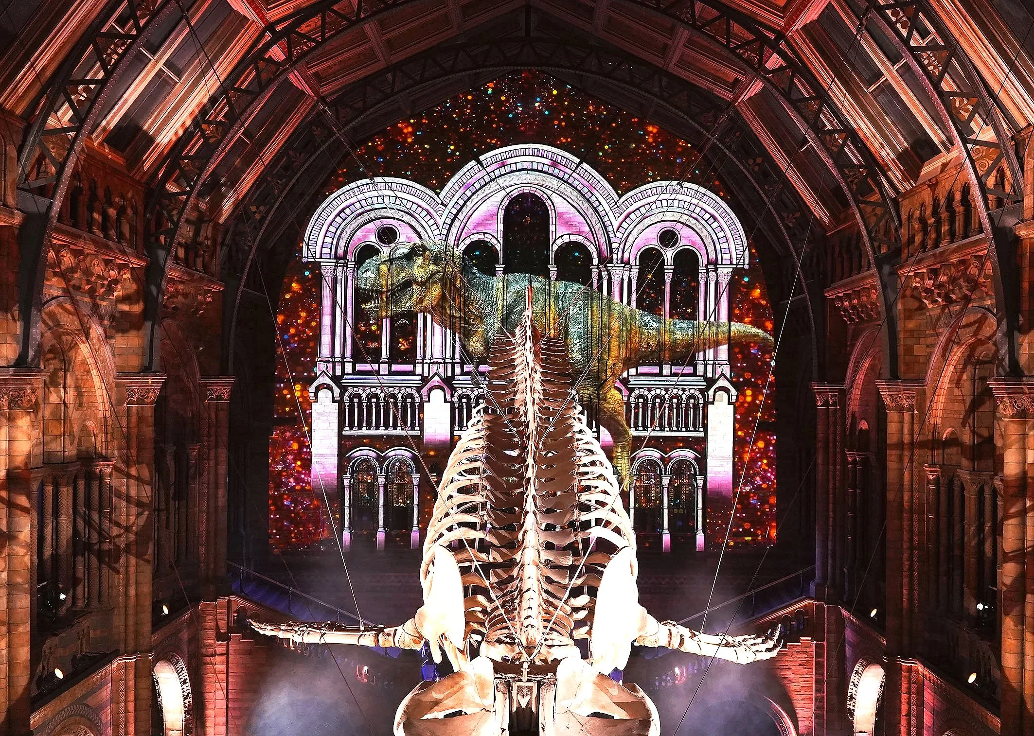 The Natural History Museum