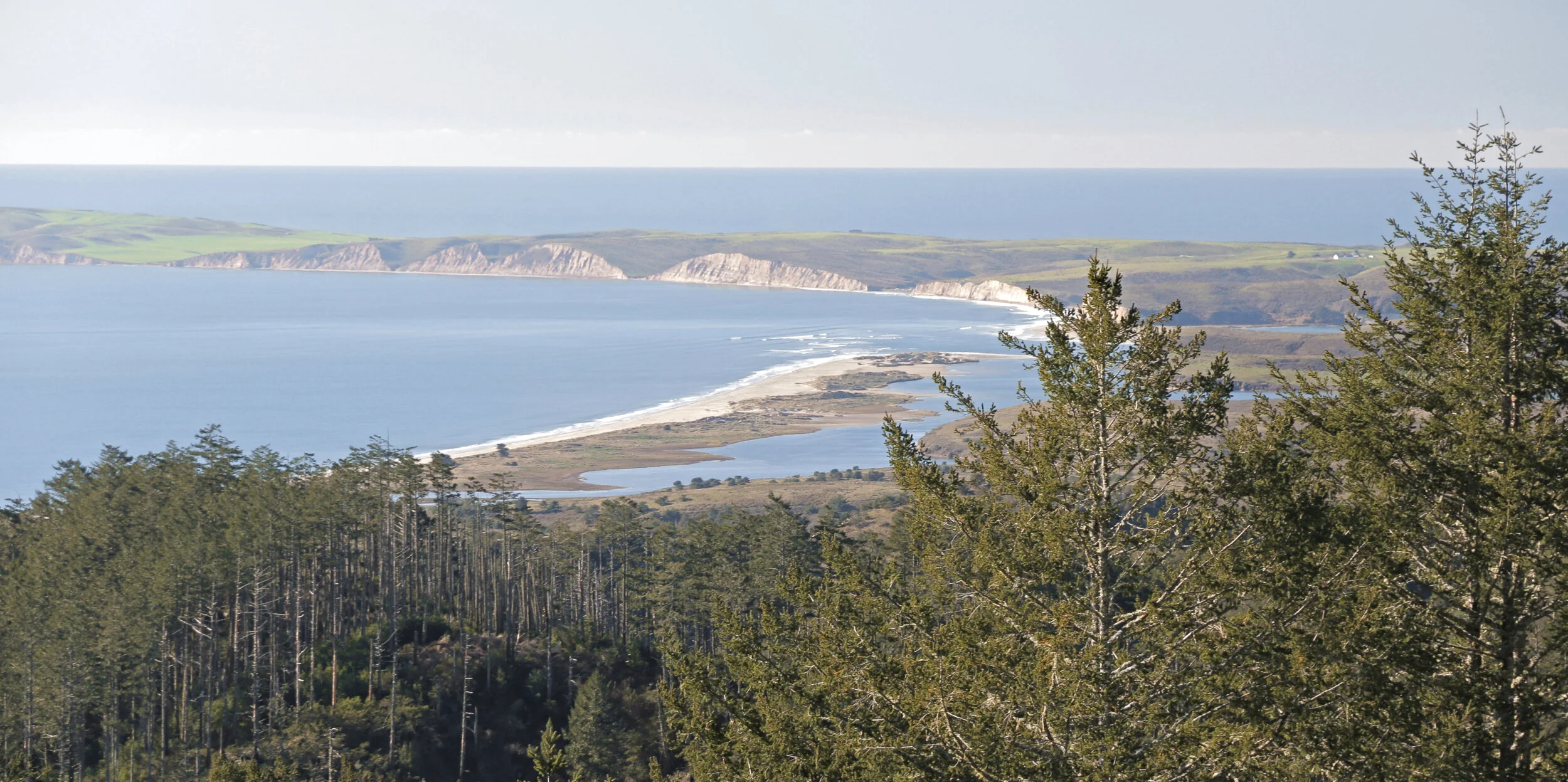 Things to Do in Point Reyes, California — Tahoe Fabulous