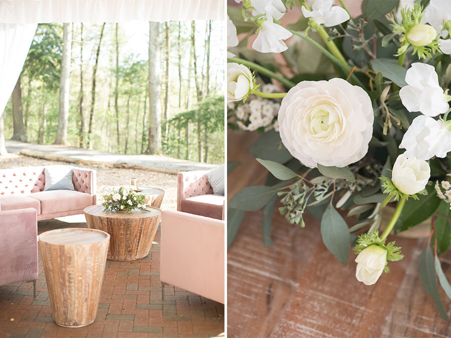 Blush-Diana-Biltmore-Estate-Wedding.jpeg