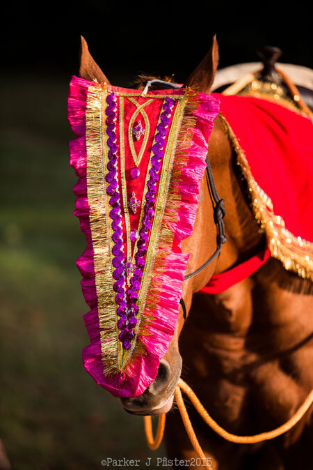 Biltmore-Estate-Indian-Baraat.jpeg