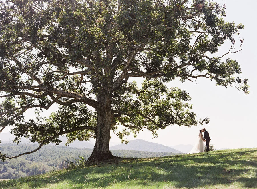Southern Weddings Feature: Joyful Wedding at the Biltmore Estate