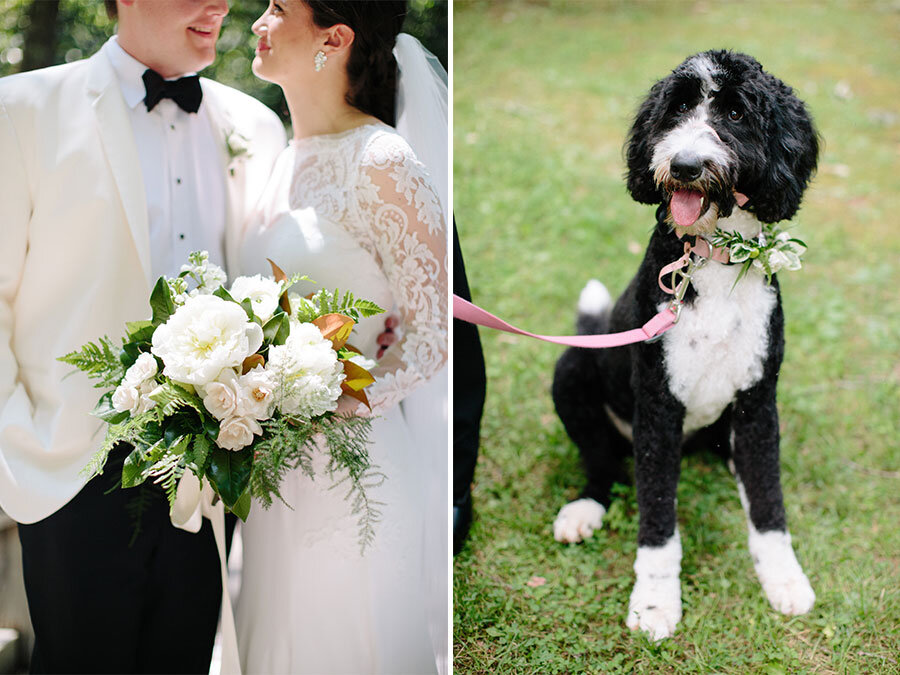 The-Farm-at-Old-Edwards-Inn-Wedding-Dog_Asheville-Event-Co.jpeg