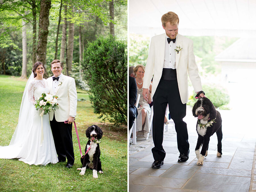 Old-Edwards-Inn-Wedding-Dog-of-Honor_Asheville-Event-Co.jpeg