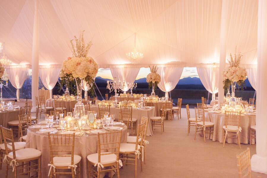 Luxury-Biltmore-Estate-Wedding-Reception_Asheville-Event-Co.jpeg